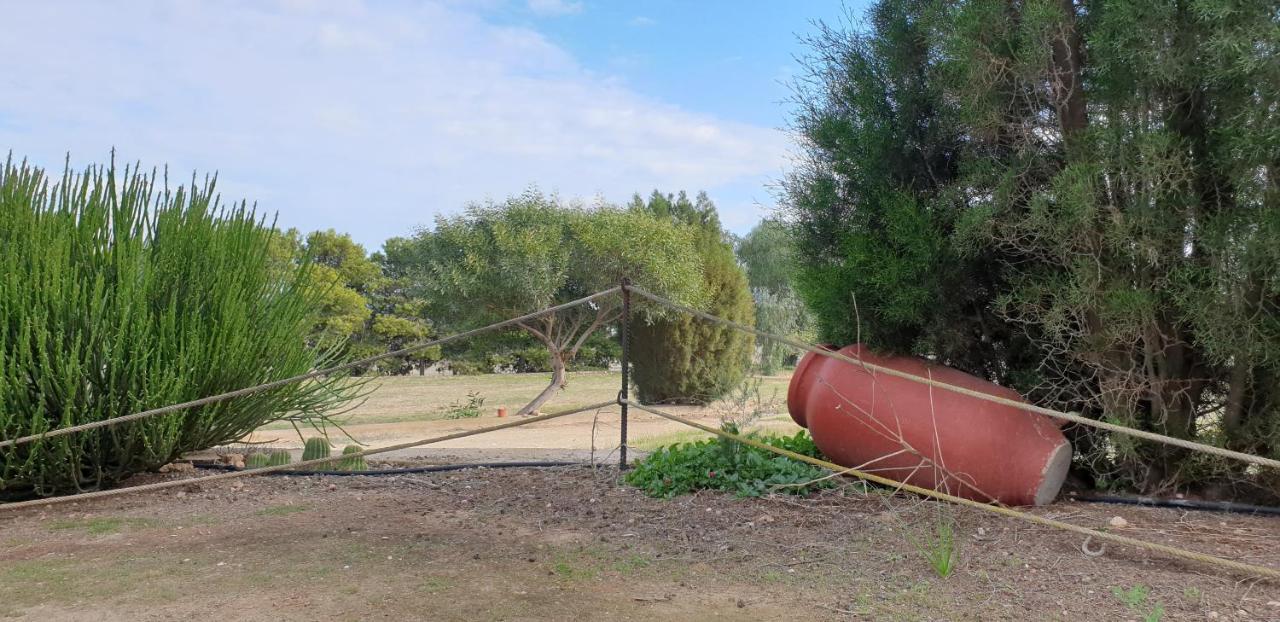 El Molino De Arriba Villa Níjar Екстериор снимка