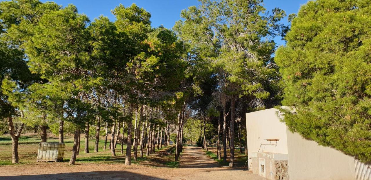 El Molino De Arriba Villa Níjar Екстериор снимка