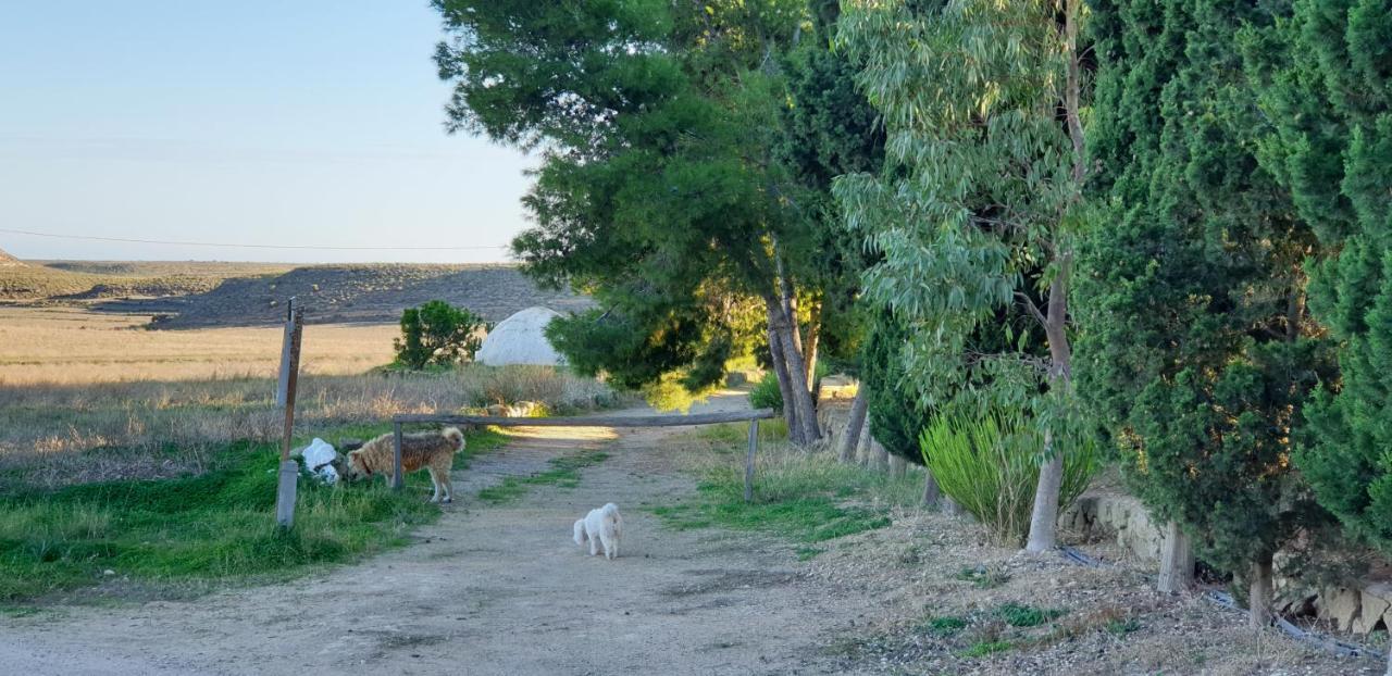 El Molino De Arriba Villa Níjar Екстериор снимка