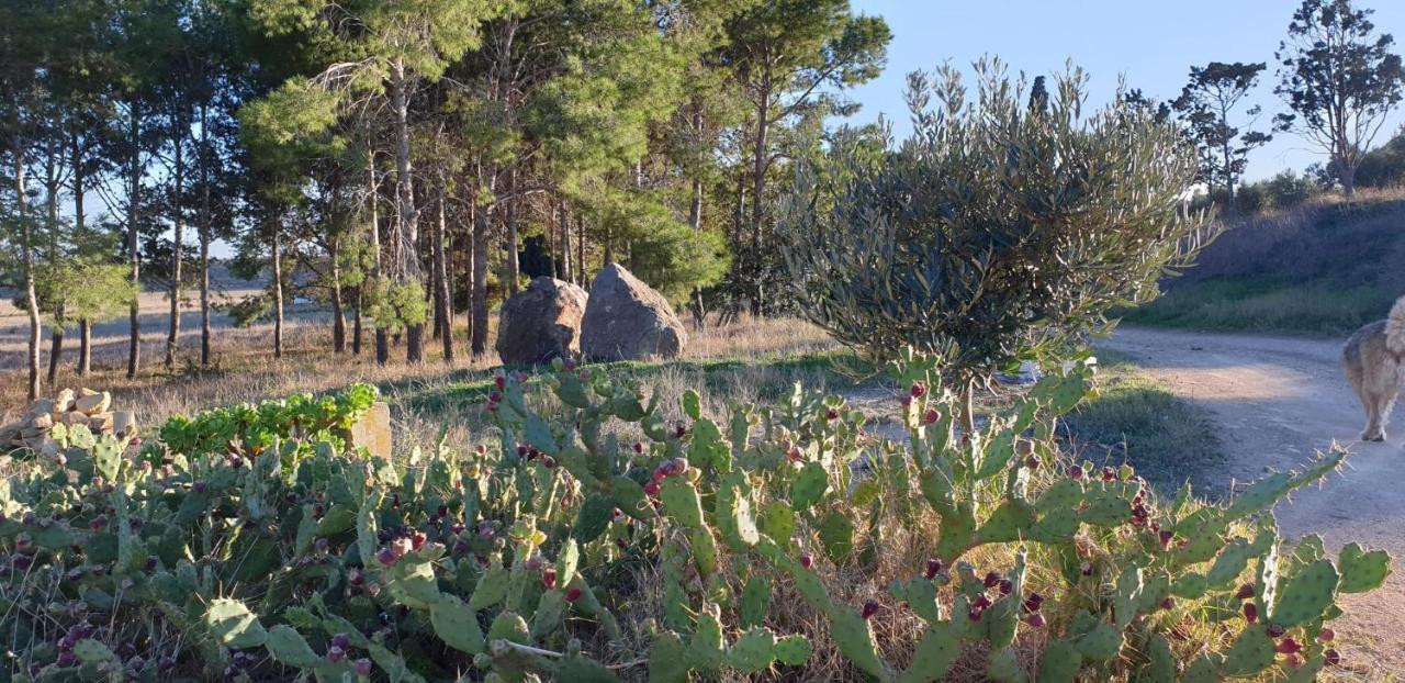 El Molino De Arriba Villa Níjar Екстериор снимка