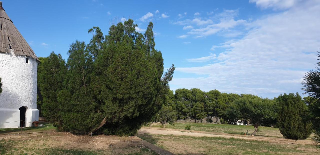 El Molino De Arriba Villa Níjar Екстериор снимка